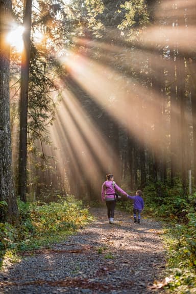 Autumn Walk